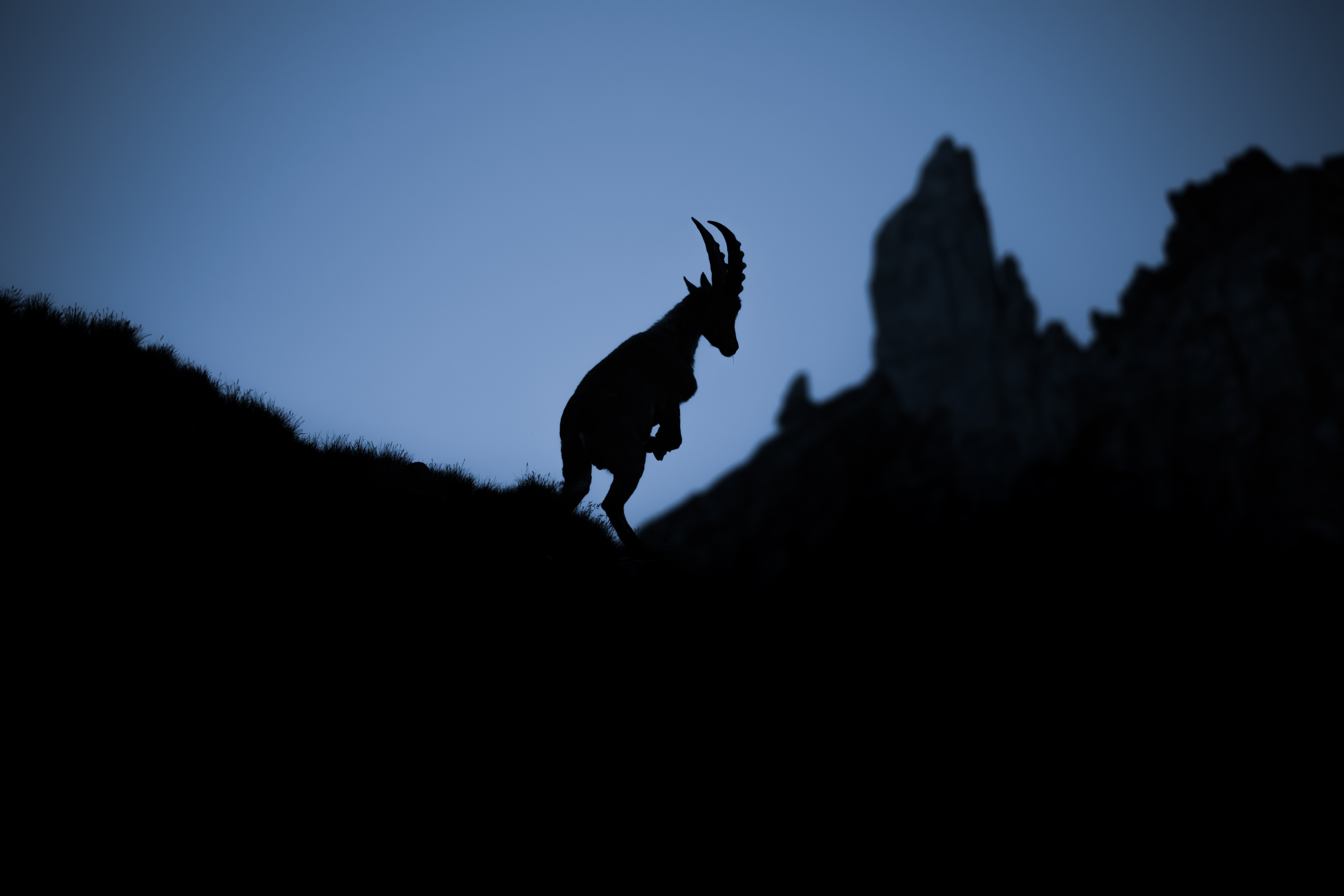 Exploration - Instagram